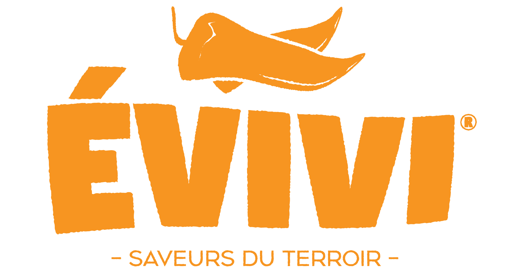 EVIVI LOGO